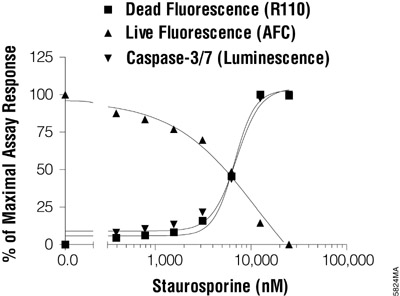 The MultiTox-Fluor Assay technology can be multiplexed with other assays