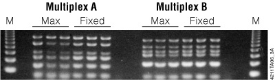 Multiplex PCR analysis on genomic DNA purified from blood.