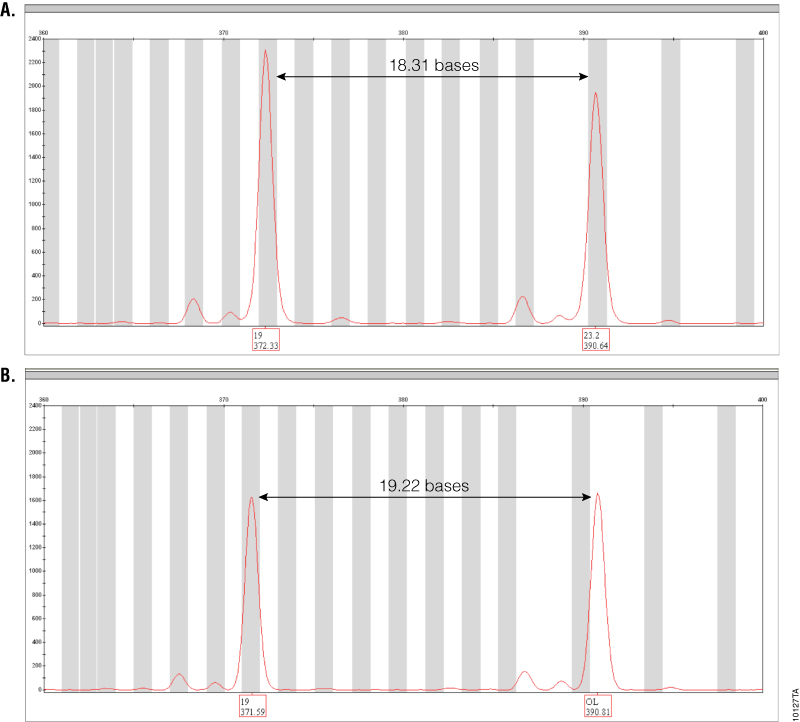 Amplification results of GT37190 DNA with PowerPlex® ESI 17 Pro and ESI 17 Systems