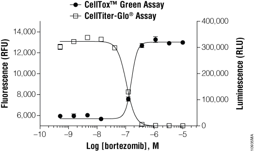Multiplexing allows complementary measures of cell health.