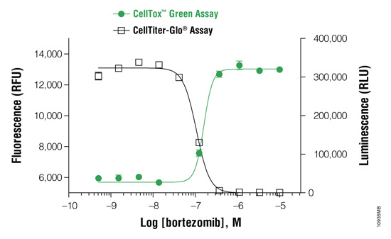 Figure 10935MB