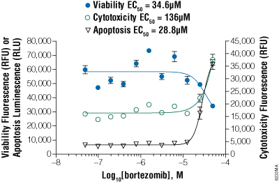 ApoTox-Glo Triplex Assay results for adherent HepG2 cells treated with bortezomib