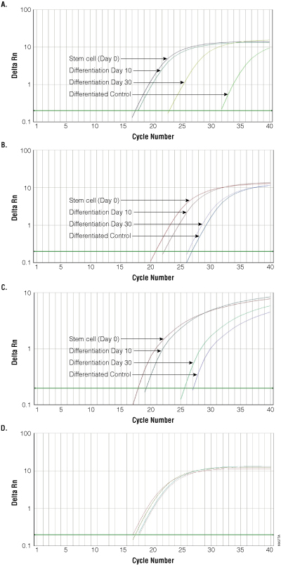 Monitoring expression of pluripotency-associated transcripts during neural cell differentiation.