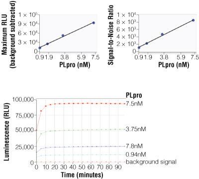 DUB-Glo Protease Assay Time Course with Varying Concentrations of SARS-CoV PLpro
