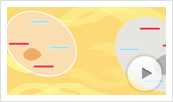 MultiTox-Fluor Assay Animation Thumbnail