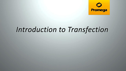 Introduction to Transfection