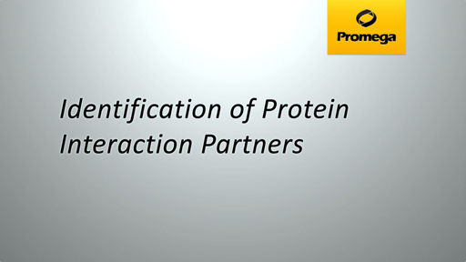 Identification of Protein Interaction Partners