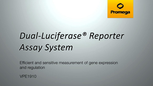 Dual Luciferase Reporter Assay System Video