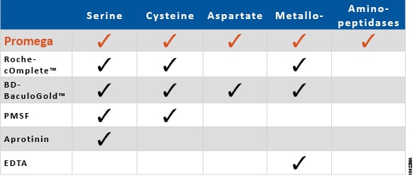 Inhibited proteases.