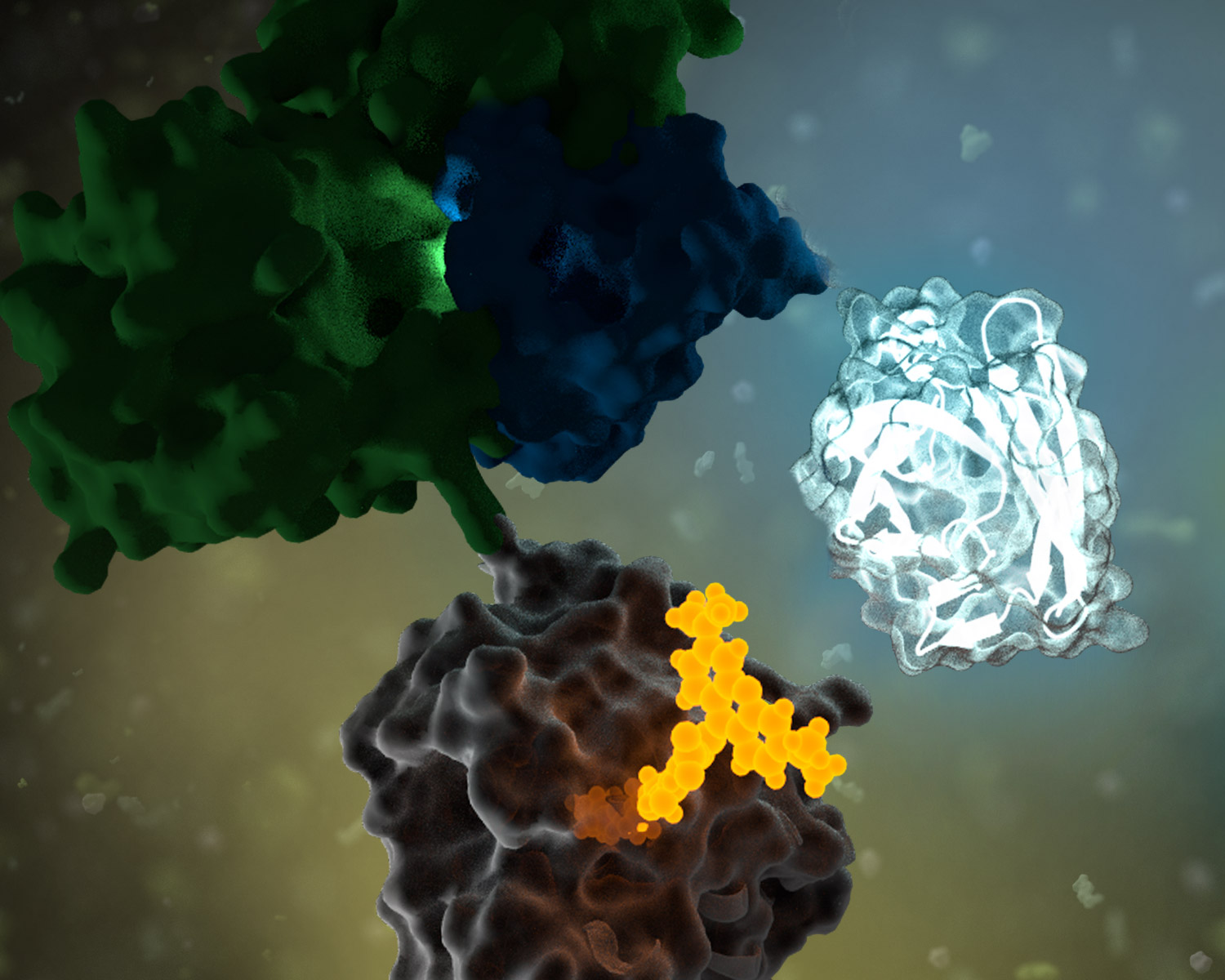 21070905-nanobret-image2