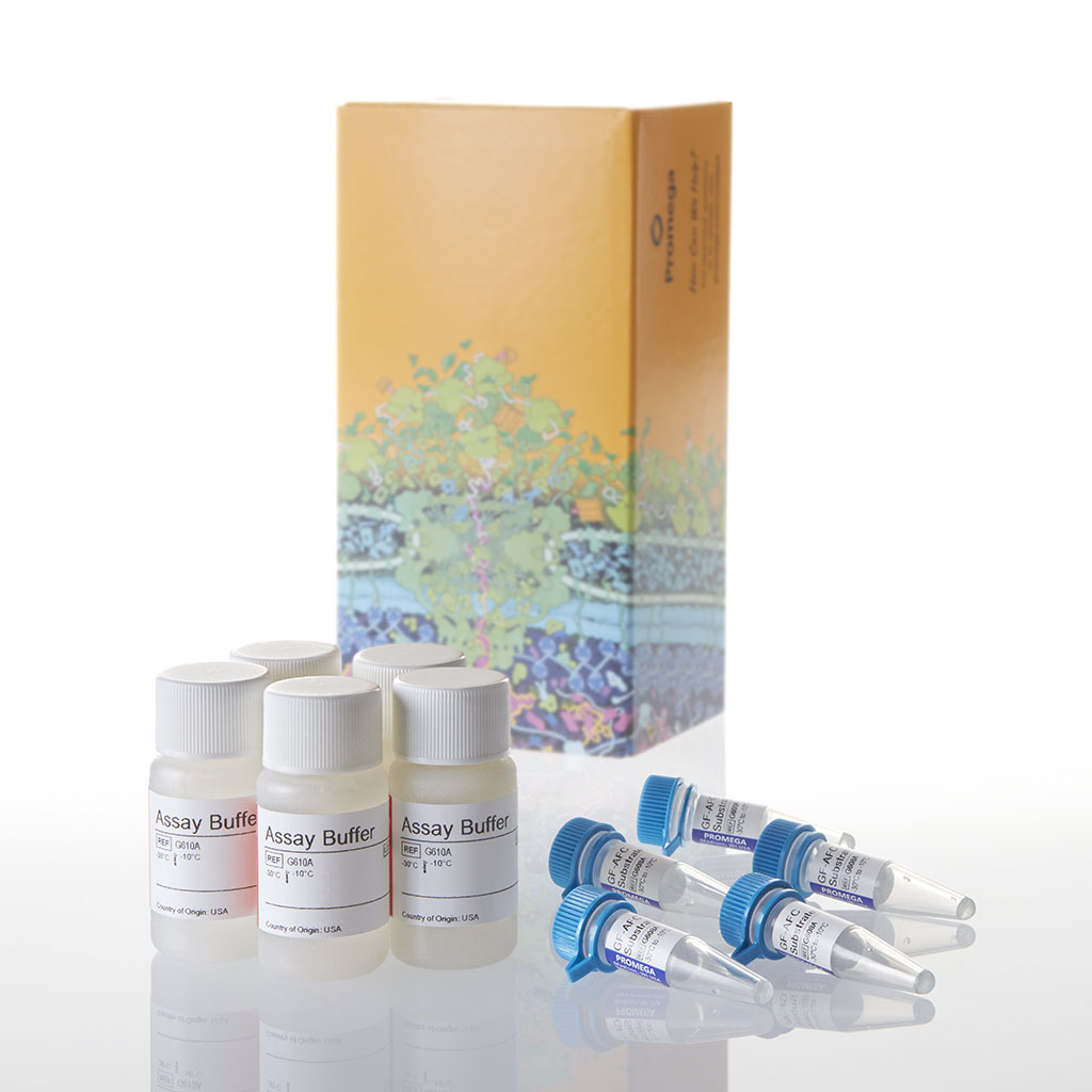 CellTiter-Fluor™ Cell Viability Assay
