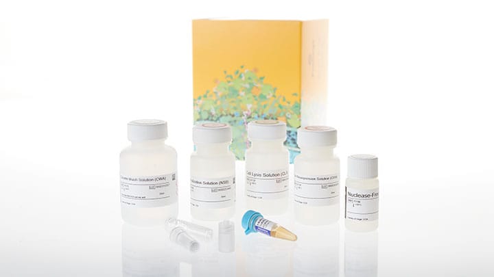 Wizard® Plus SV Minipreps DNA Purification Systems