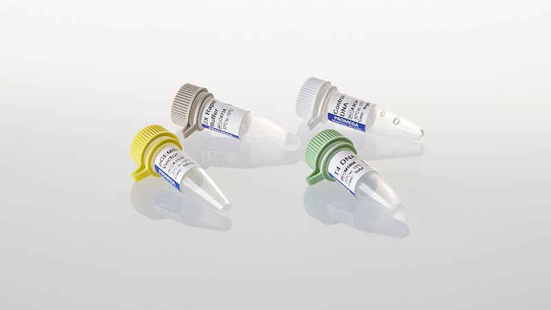 pGEM®-T Easy Vector Systems