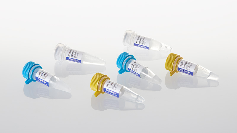 GoScript™ Reverse Transcriptase | Reverse Transcription | cDNA