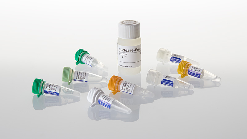 転生プログラム　ars9 Reverse Transcription System