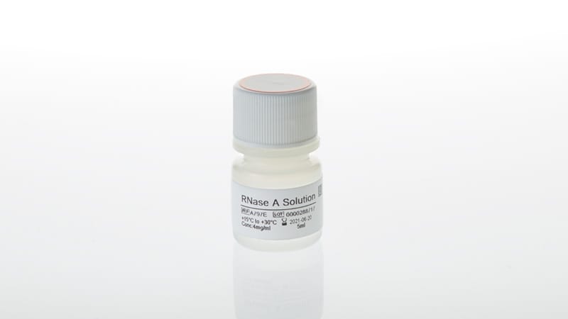 RNase