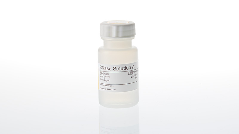 a7975-rnase-solution-a-3