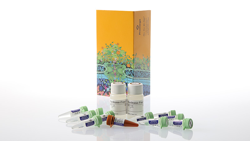 meaさま専用 GoTaq® Enviro qPCR and RT-qPCR Systems