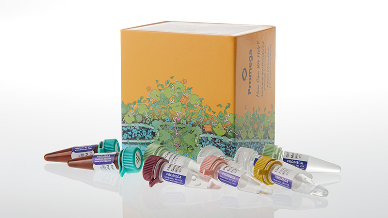 am2170-gotaq-enviro-wastewater-flu-a-flu-b-sc2-system