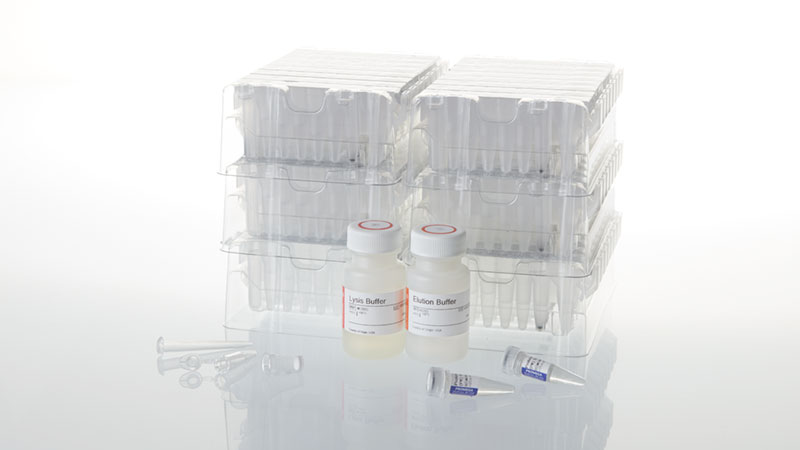 Maxwell RSC Buccal Swab DNA Kit