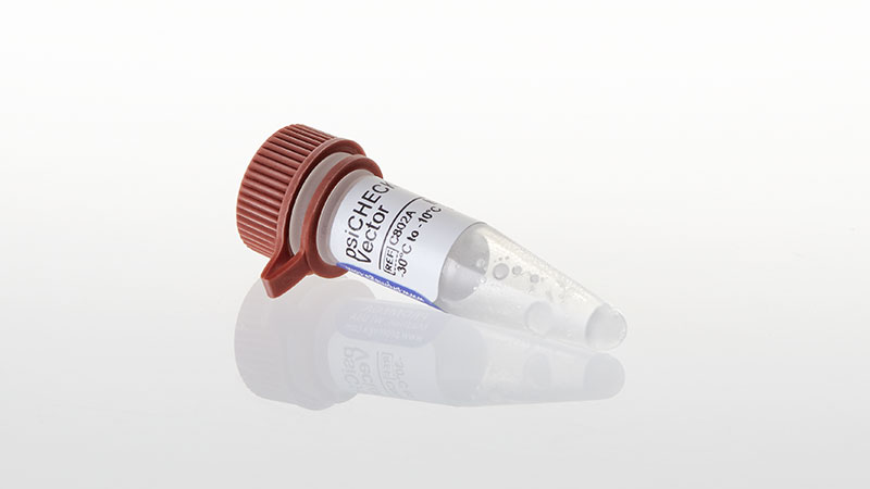 psiCHECK™-2 Vector | RNAi Assay