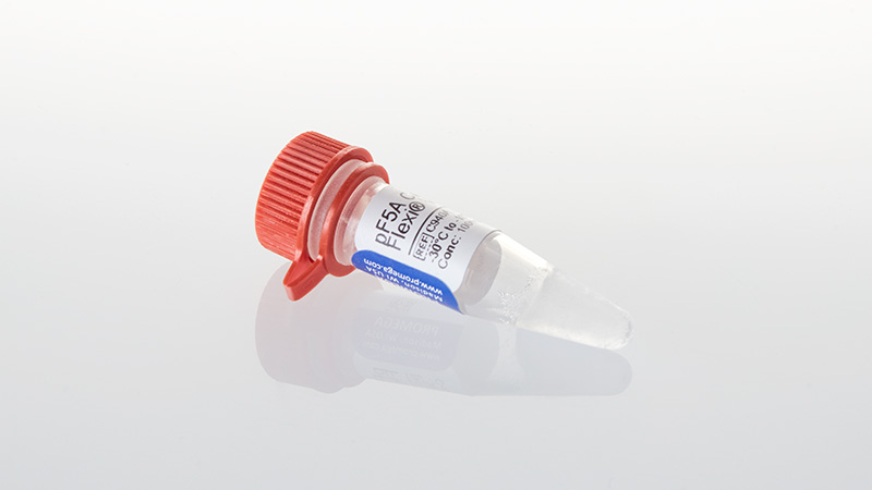 pF5 CMV-neo Flexi® Vectors