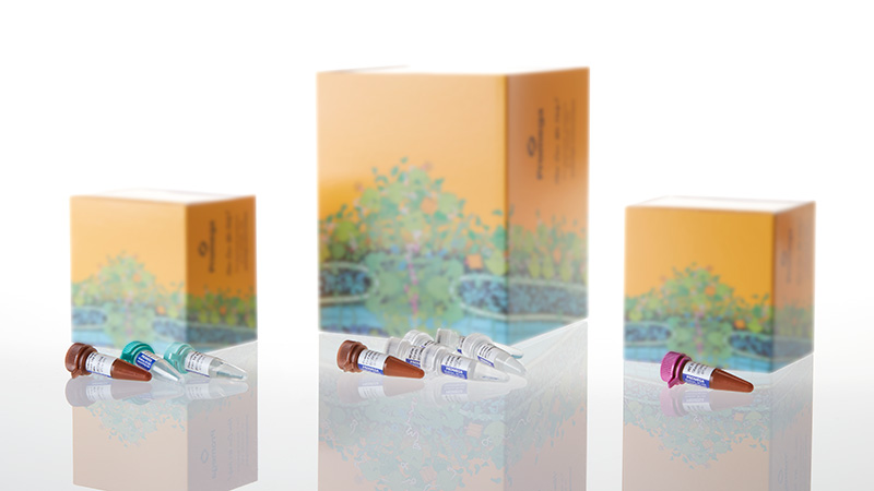 DC1621_PowerPlex--ESI-16-Fast-System--100rxn