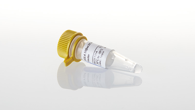 E1310_pGL4-50-luc2-3aCMV-3aHygro--Vector-20ug_3