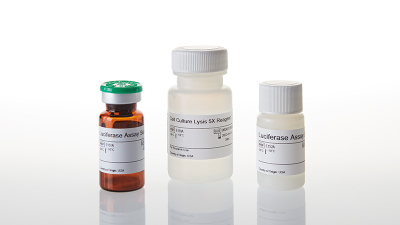 Luciferase Assay System