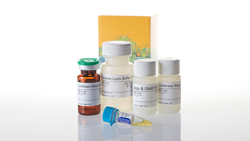 E1910_Dual-Luciferase--Reporter-Assay-System_3
