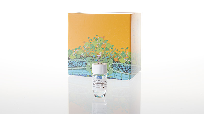 FuGENE® 6 Transfection Reagent