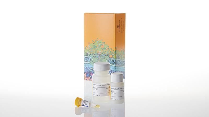 Renilla Luciferase Assay System