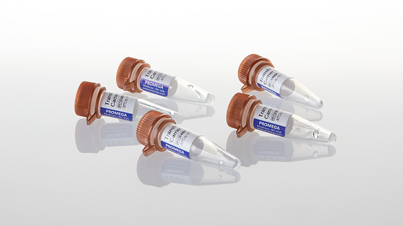 E4881_Transfection-Carrier-DNA_3