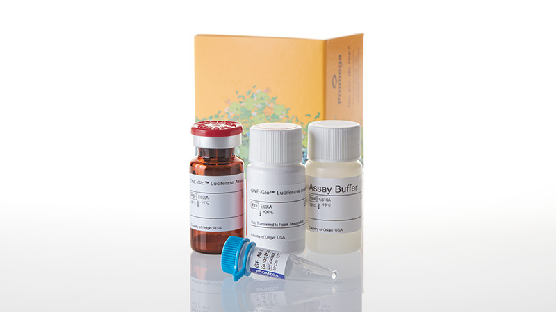 ONE-Glo™ + Tox Luciferase Reporter and Cell Viability Assay