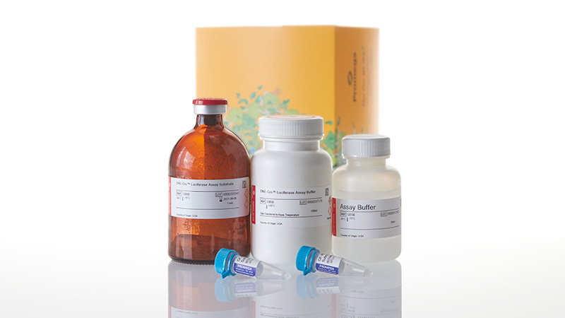 ONE-Glo™ + Tox Luciferase Reporter and Cell Viability Assay