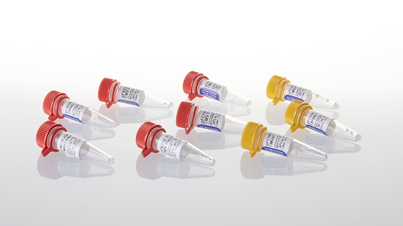 HaloTag® Flexi® Vectors—CMV Deletion Series Sample Pack