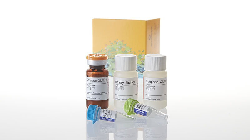 Immunity —— 触れられずに在ること【AP/ジークレー】 ApoTox-Glo™ Triplex Assay