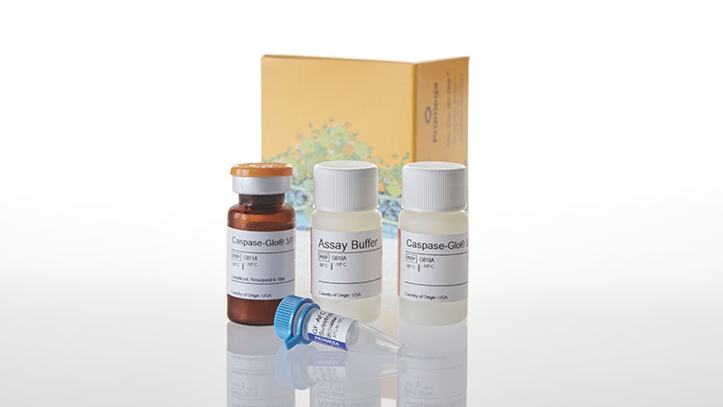 G6410_ApoLive-Glo--Multiplex-Assay--10ml_3