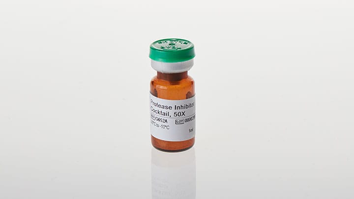 Protease Inhibitor Cocktail