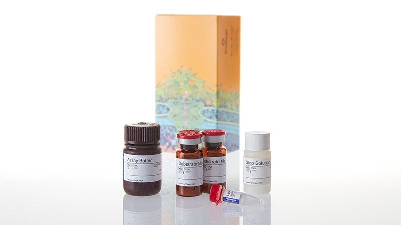 CytoTox-ONE™ Homogeneous Membrane Integrity Assay