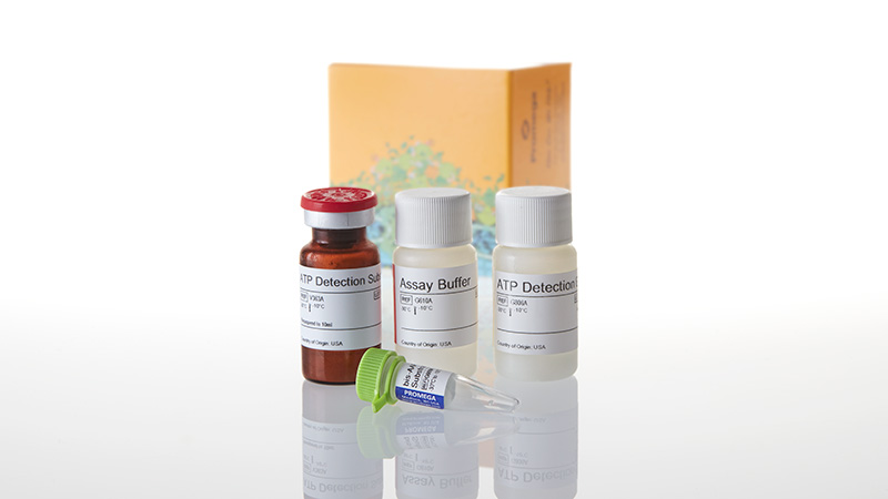 Mitochondrial ToxGlo™ Assay