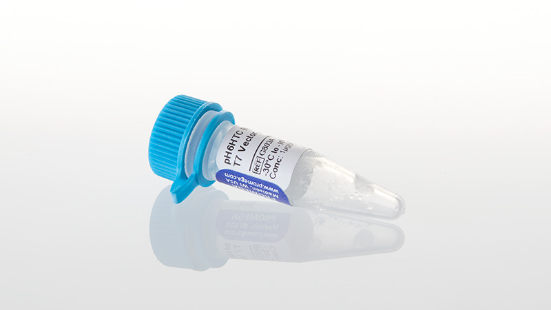 pH6HTN and pH6HTC His6HaloTag® T7 Vectors