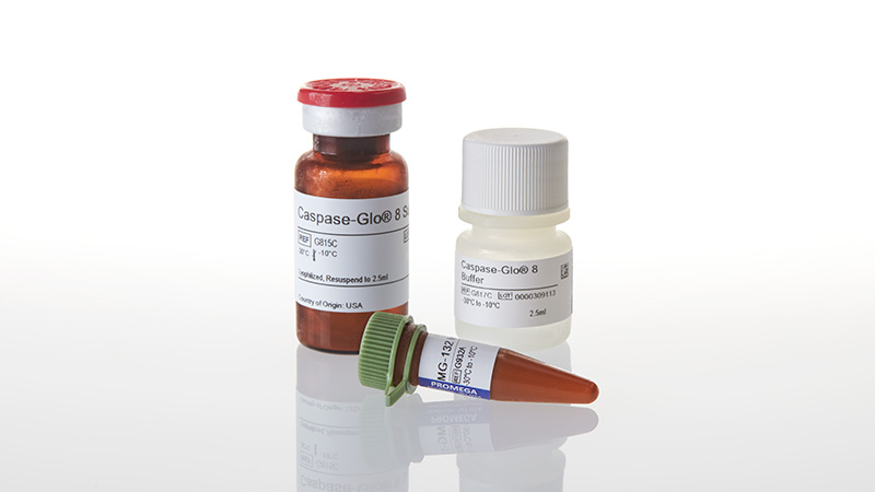 G8200_Caspase-Glo--8-Assay--2-5ml_3