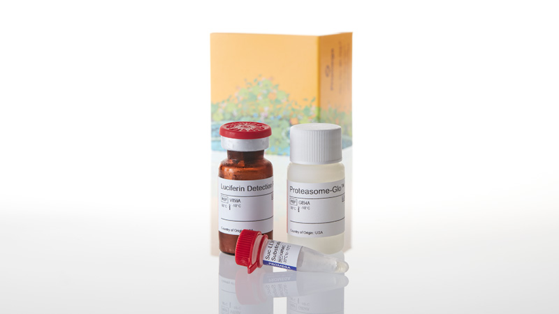 Proteasome-Glo™ Assays