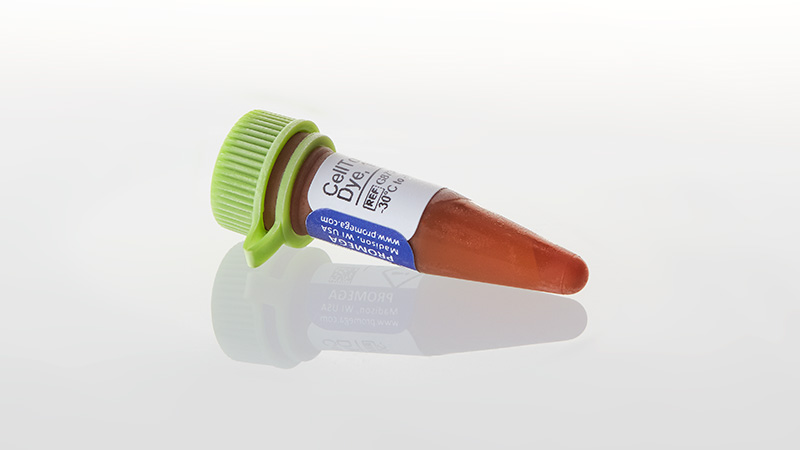 G8731_CellTox--Green-Express-Cytotoxicity-Assa_3