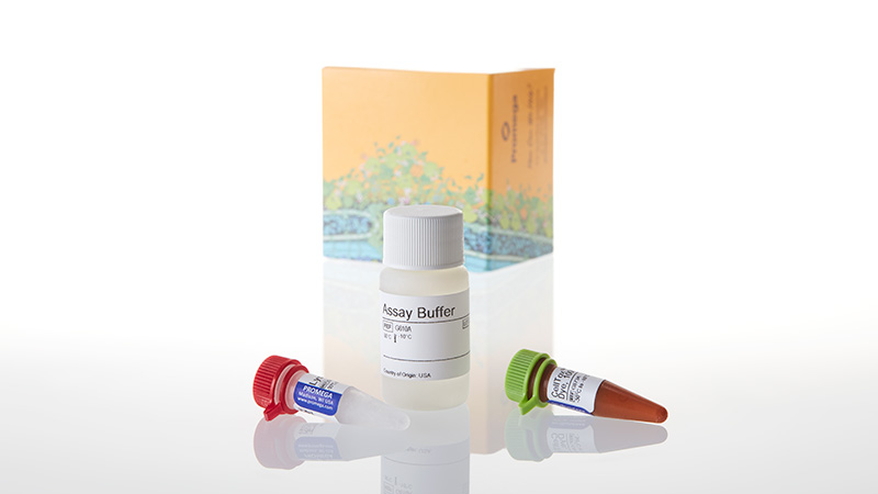 CellTox™ Green Cytotoxicity Assay | Cell Death Assay | Real Time