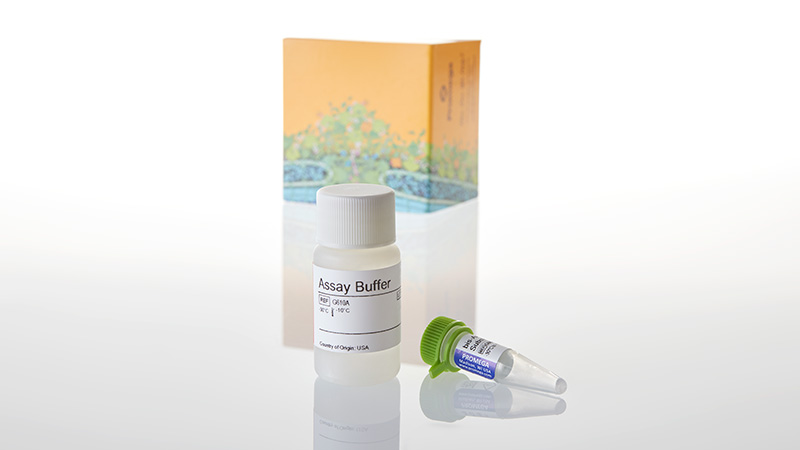ロイコ 確認用 CytoTox-Fluor™ Cytotoxicity Assay