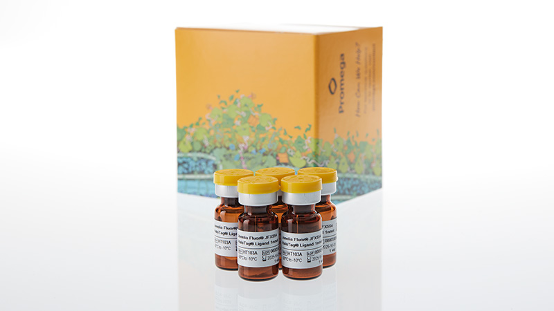 ht1030-janelia-fluor-jfx554-halotag-ligand-3