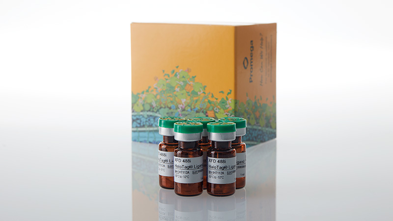 ht1120-xfd-488i-halotag-ligand