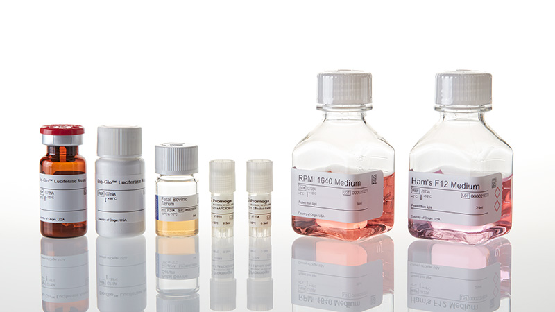PD-1 PD-L1 Blockade Bioassay | PD1 PDL1 | PD1 PDL1 Interactions